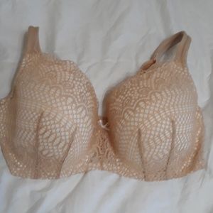 Lane Bryant bra 40DDD